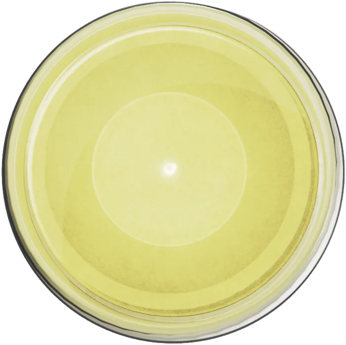 [704] Ultracryl Metal Bright Gold-Spot.webp