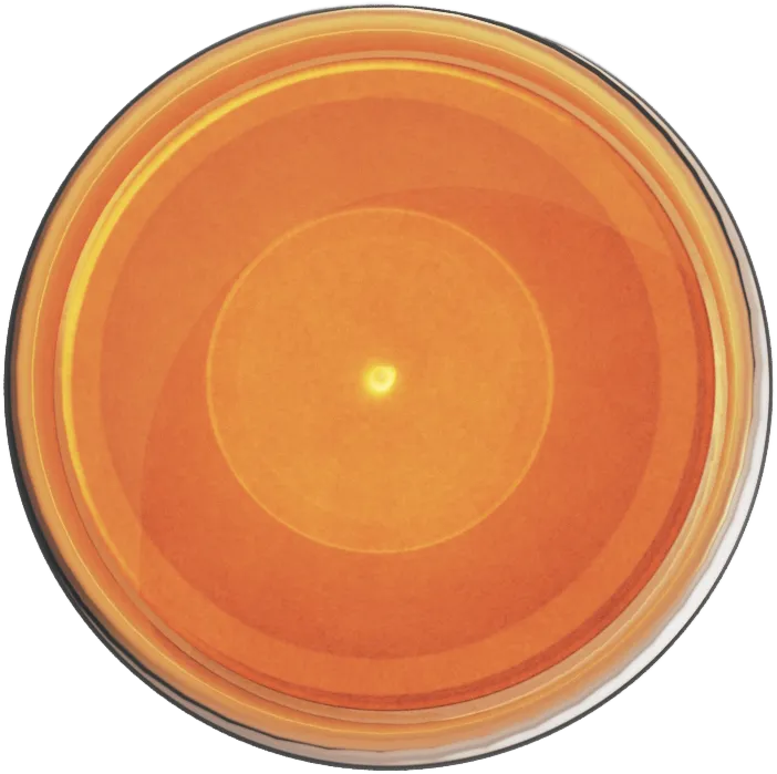 [706] Ultracryl Metal Copper-Spot.webp