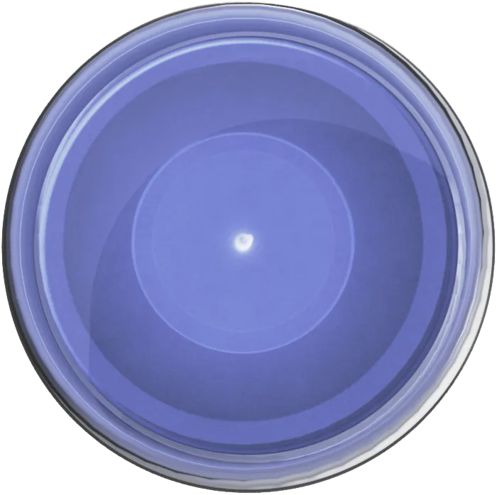 [708] Ultracryl Metal Burnt Metal-Spot.webp