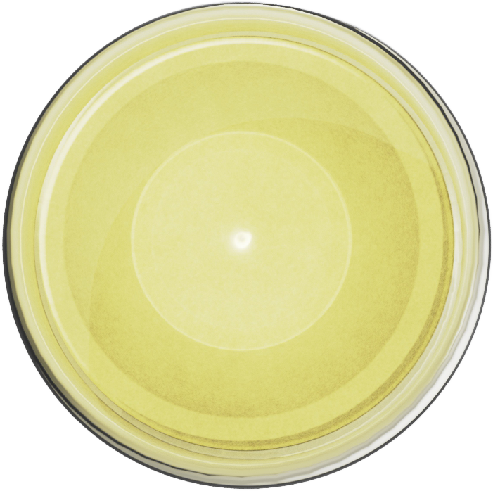 Ultracryl Metal Bright Gold