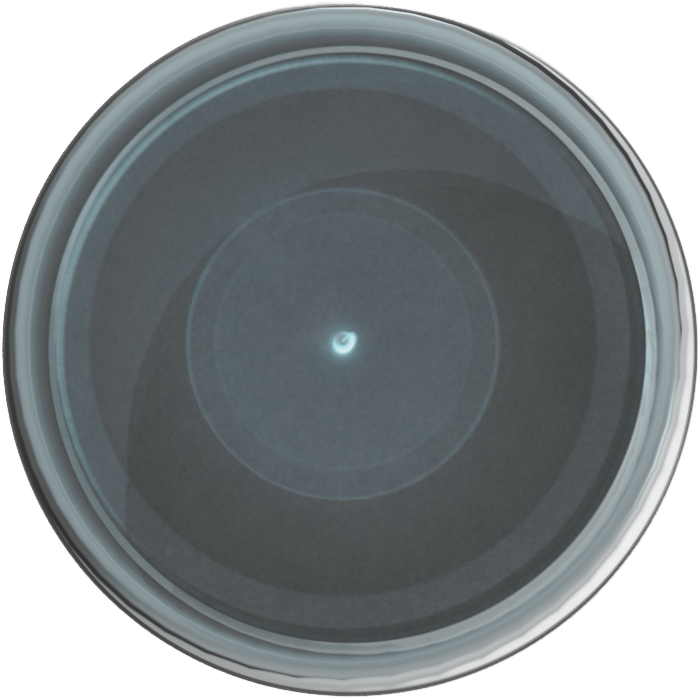 [707] Ultracryl Metal Gunmetal